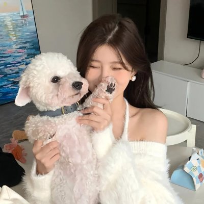 如意天书