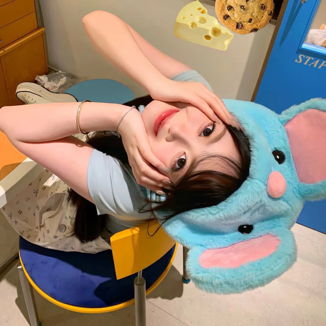 双生赤狐